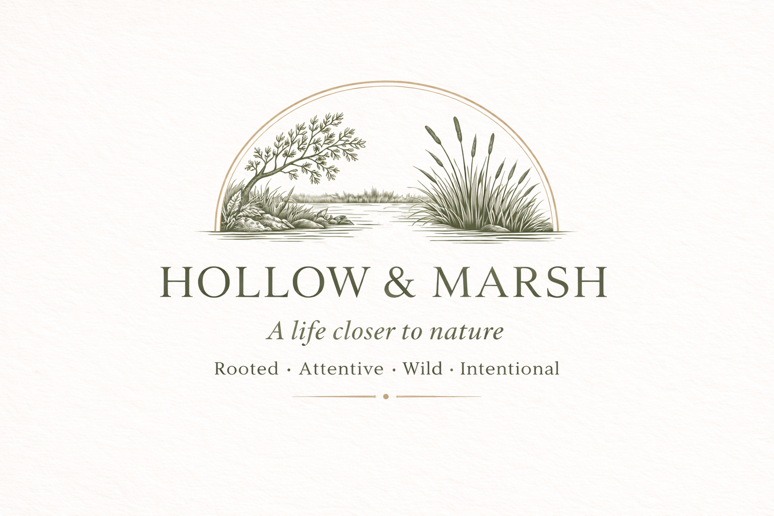 Hollow & Marsh